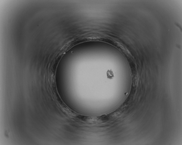 X0000092070521200709121028
