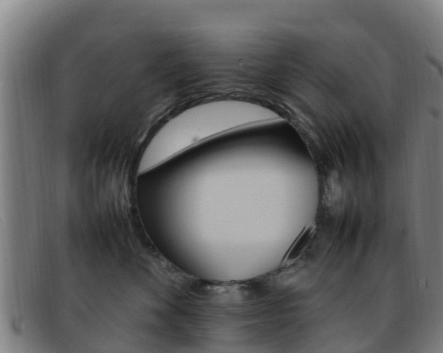 X0000092070524200709121028