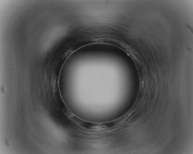 X0000092070525200709121028