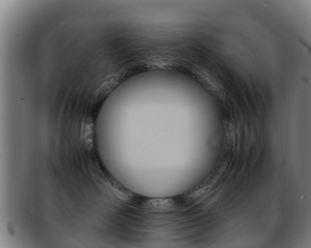 X0000092070526200709121028