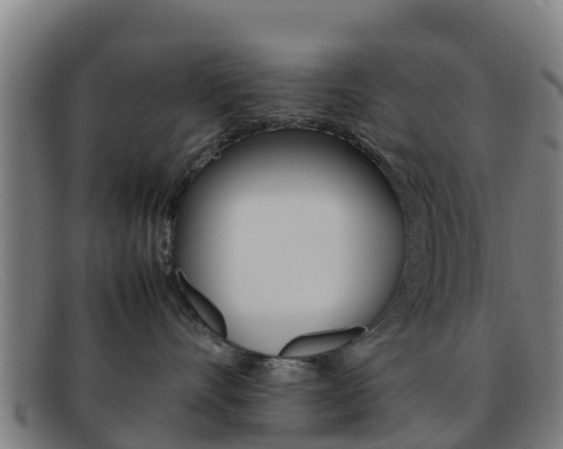 X0000092070528200709121028