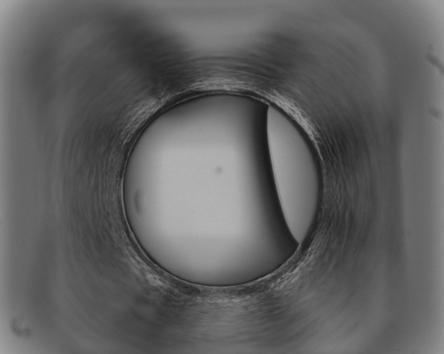 X0000092070529200709121027