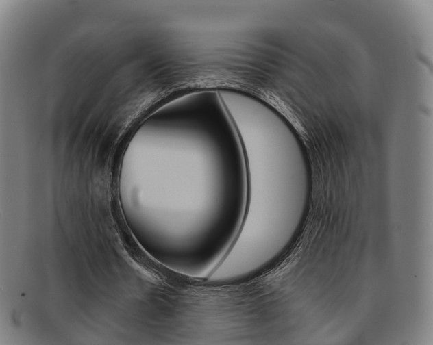 X0000092070530200709121027