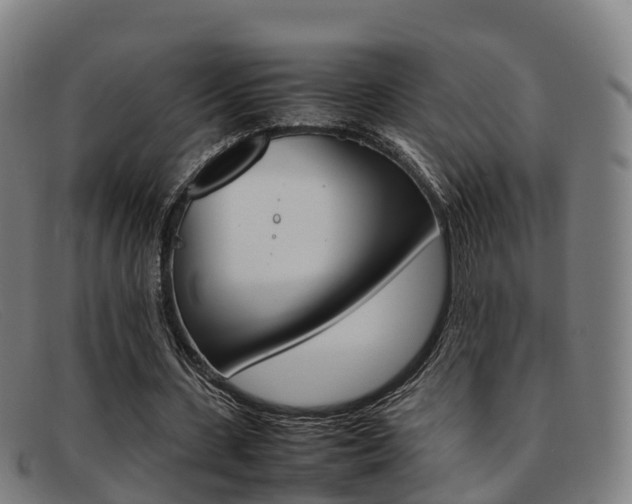 X0000092070531200709121027
