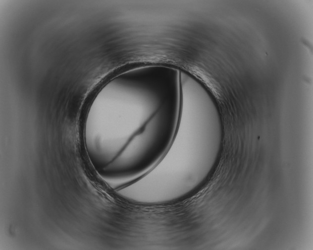 X0000092070532200709121027