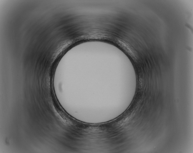 X0000092070534200709121027