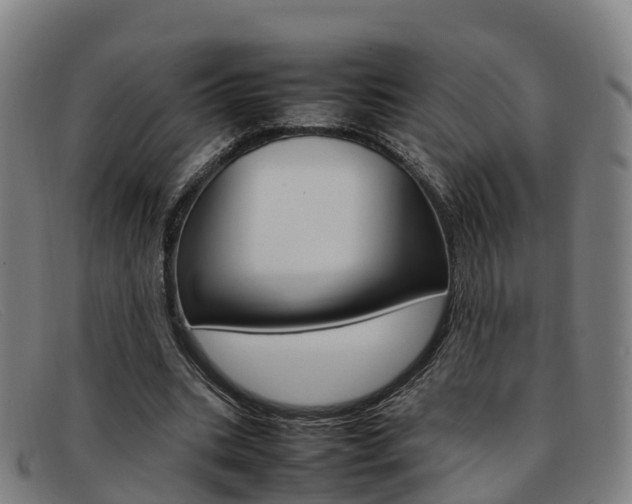 X0000092070535200709121027