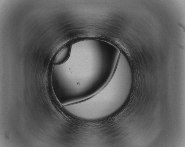 X0000092070536200709121027