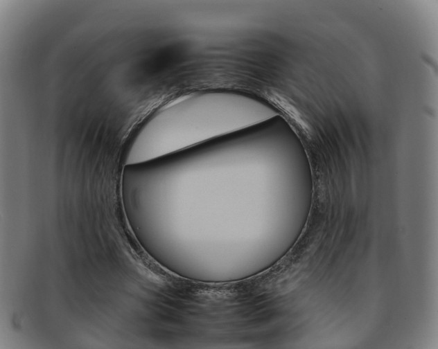 X0000092070537200709121027