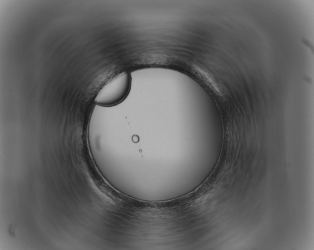 X0000092070538200709121027