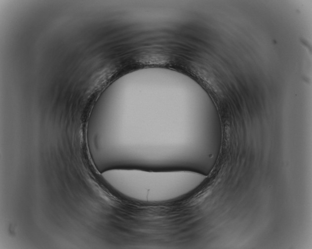 X0000092070541200709121027