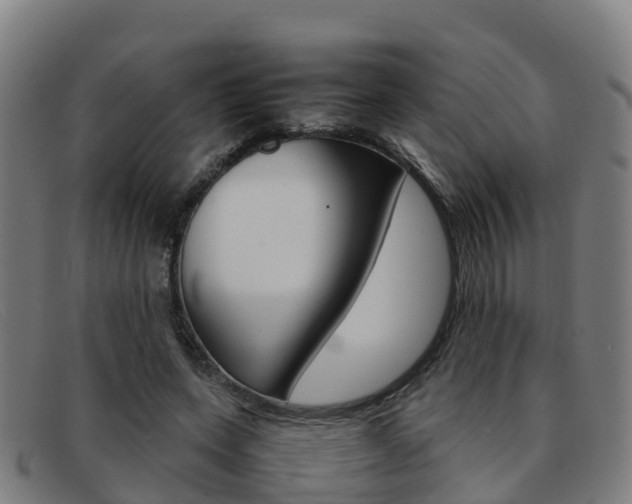 X0000092070543200709121027