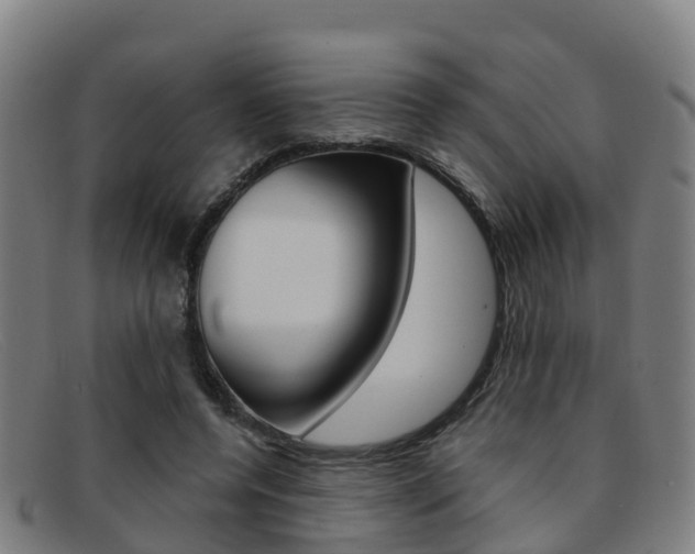 X0000092070544200709121027