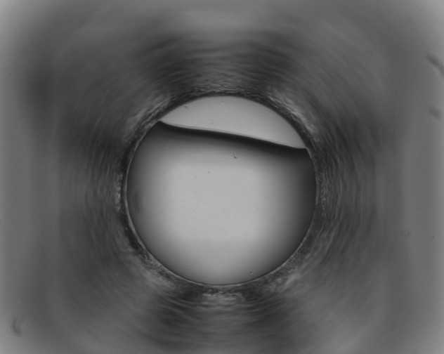 X0000092070545200709121027