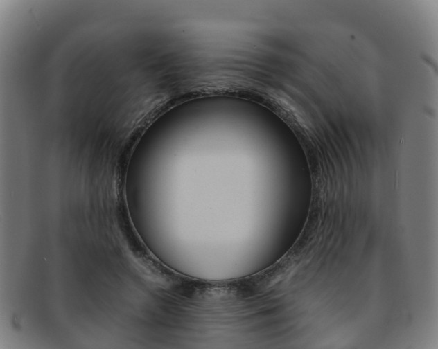 X0000092070546200709121027