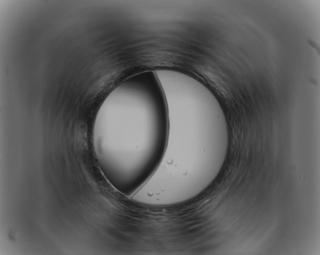 X0000092070547200709121027