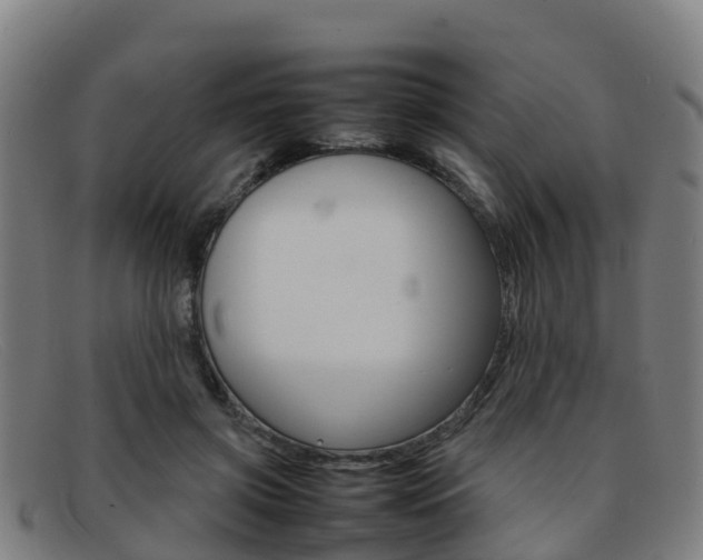 X0000092070549200709121027