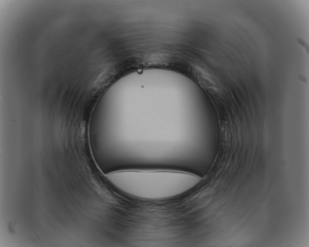 X0000092070550200709121028