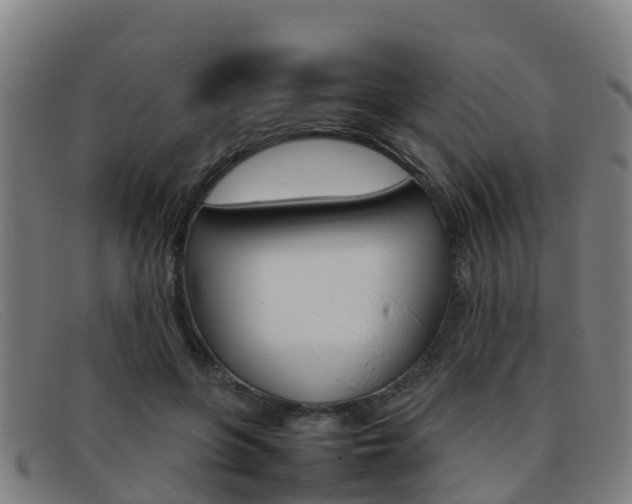 X0000092070551200709121028