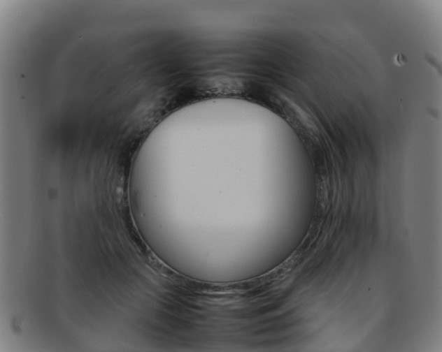 X0000092070553200709121028
