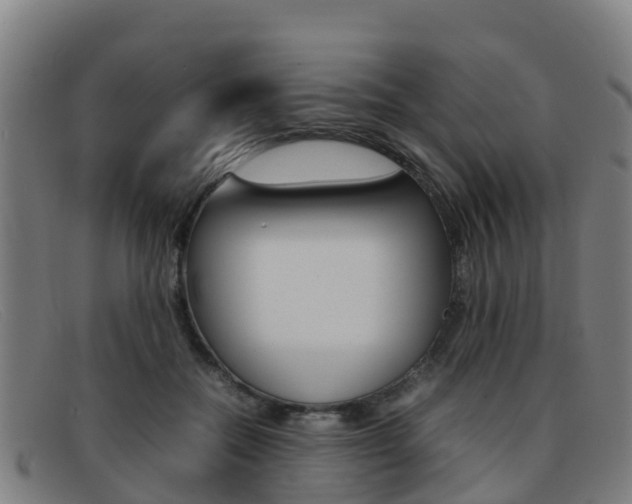 X0000092070554200709121028