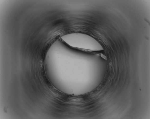 X0000092070555200709121028