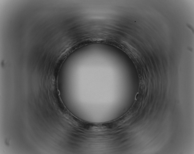 X0000092070556200709121028
