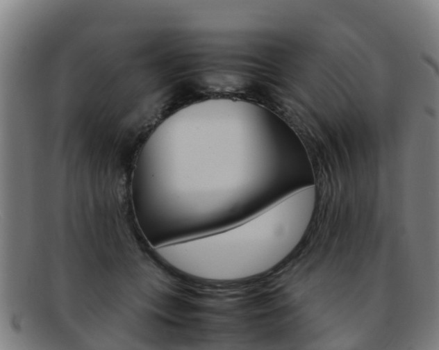 X0000092070559200709121028