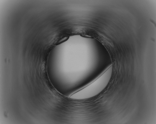 X0000092070560200709121028