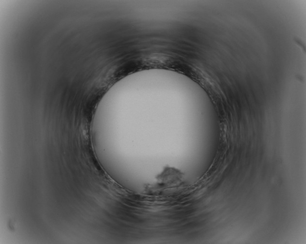 X0000092070561200709121028