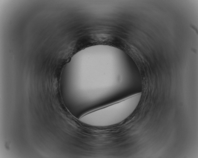 X0000092070563200709121028