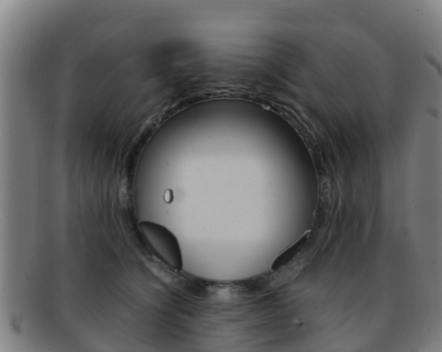 X0000092070564200709121028