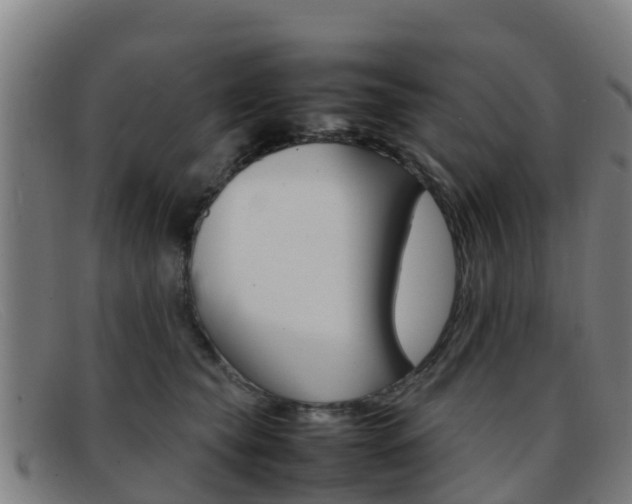 X0000092070565200709121028