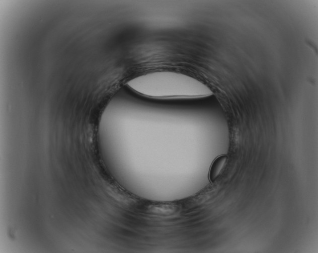 X0000092070567200709121028