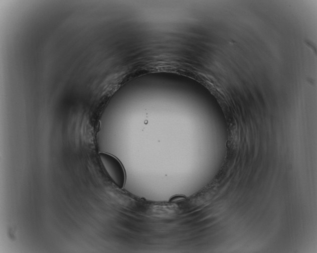 X0000092070571200709121028