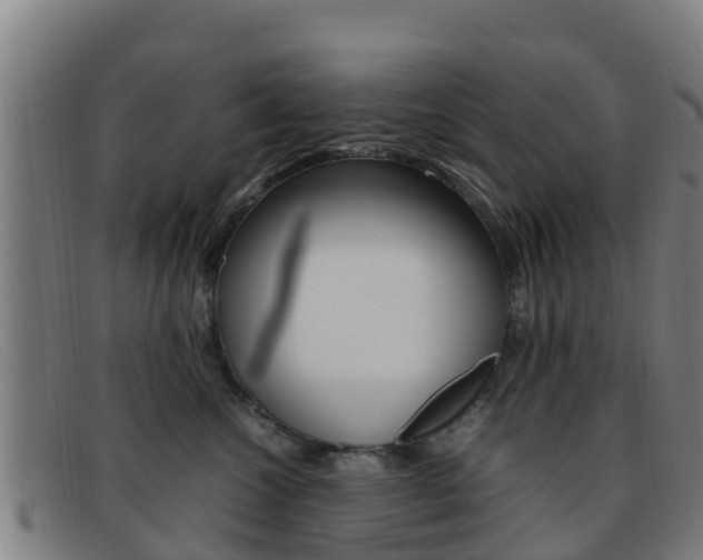 X0000092070572200709121028