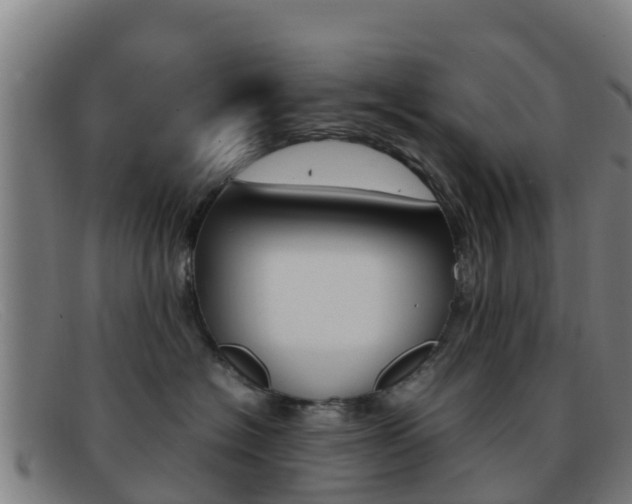 X0000092070574200709121028