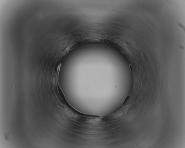 X0000092070576200709121028
