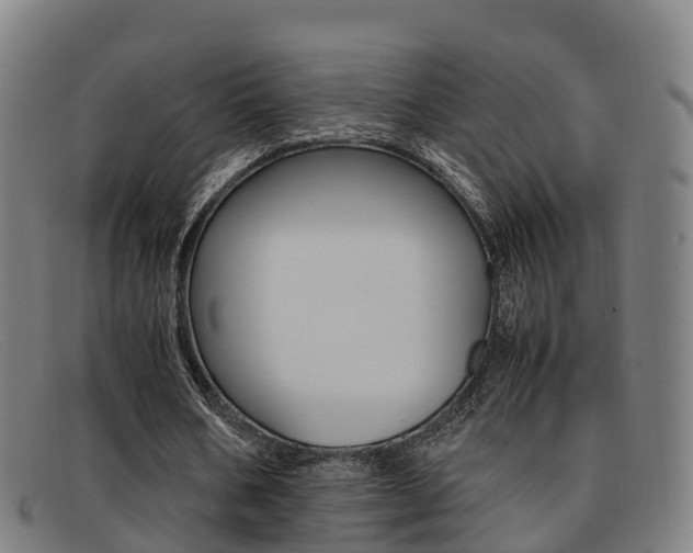 X0000092070578200709121027