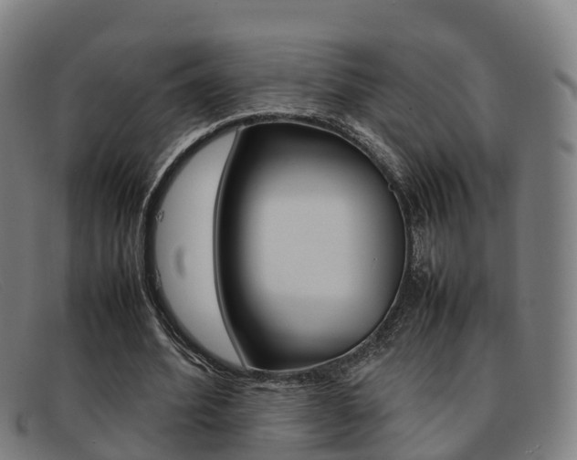 X0000092070580200709121027