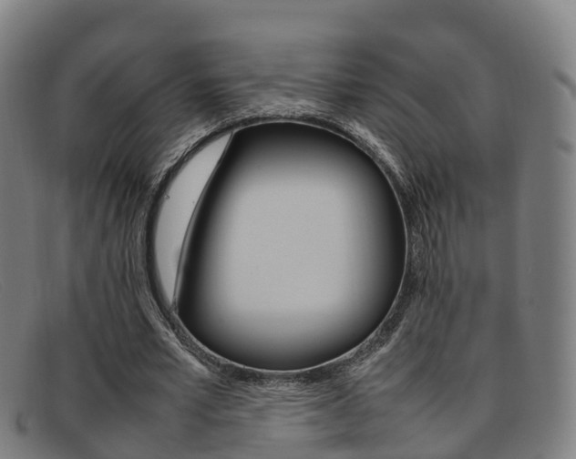 X0000092070581200709121027