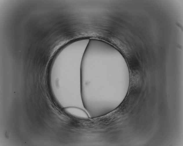 X0000092070583200709121027