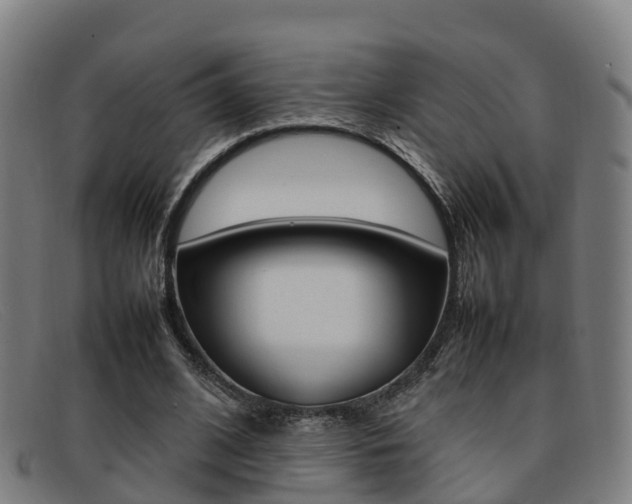 X0000092070584200709121027