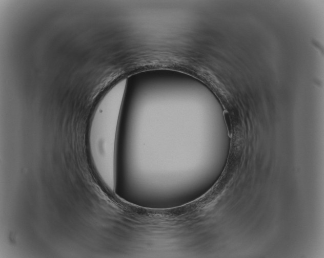 X0000092070585200709121027