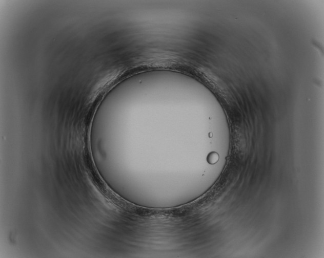 X0000092070586200709121027