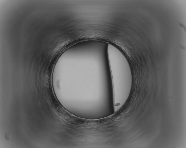 X0000092070587200709121027