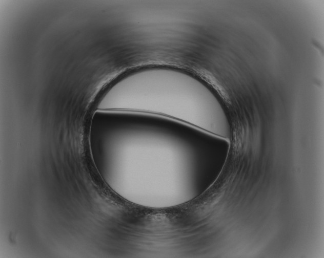 X0000092070588200709121027