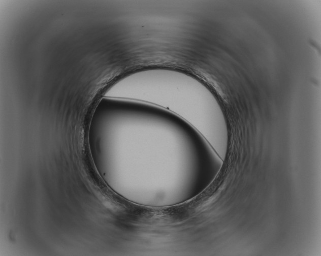 X0000092070589200709121027