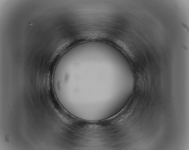 X0000092070590200709121027