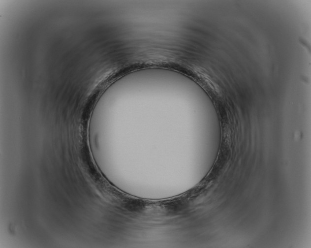 X0000092070591200709121027